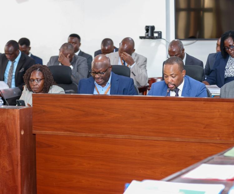 Lands Principal Secretary Generali Nixon Korir and other senior Government officials appeared before the National Assembly’s Departmental Committee on Lands