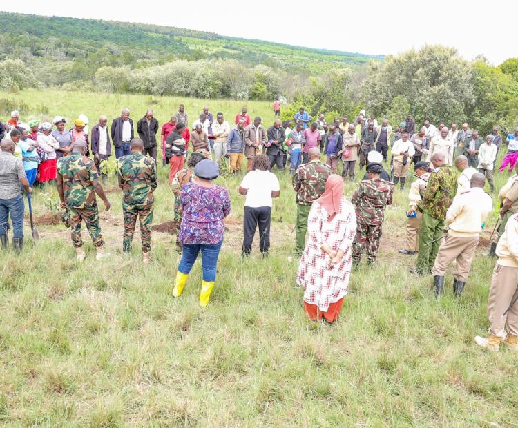 State Department for Lands Plants 4,000 Trees in Gathiuru Forest, Nyeri County